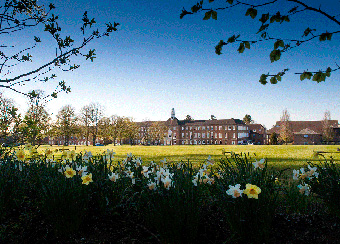 St Swithun's School